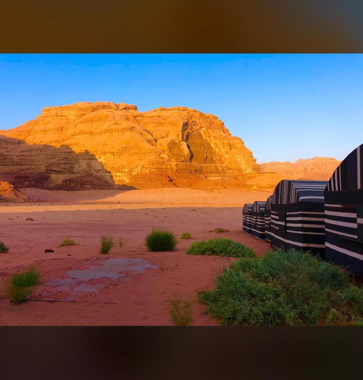 Bedouin Holidays Camp And Jeep Tours Вади-Рам Экстерьер фото